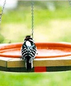 Looker Classic Hanging Wood Bird Bath