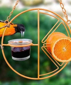 Heath Clementine Oriole Feeder