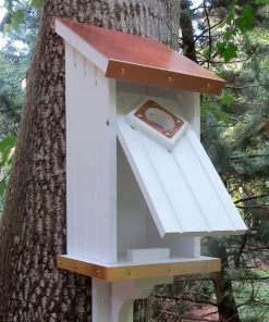 The Birdhouse Chick Bluebird Houses Vinyl Bluebird House