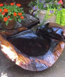 The Birdhouse Chick Natural Teak Ground Bird Bath Deck & Ground Bird Baths 9 The Birdhouse Chick Natural Teak Ground Bird Bath Deck & Ground Bird Baths