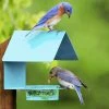 Couronne Fence-Post Bluebird Feeder- Blue Or Orange 2 Couronne Fence-Post Bluebird Feeder- Blue Or Orange