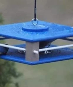 The Birdhouse Chick Recycled Birdhouses Gilbertson Hanging Bluebird Feeder 9 The Birdhouse Chick Recycled Birdhouses Gilbertson Hanging Bluebird Feeder