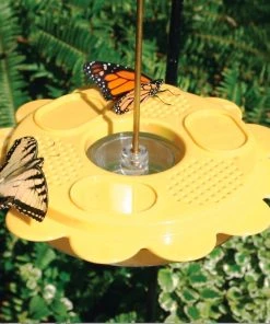Birds Choice The Flutterby Butterfly Feeder Butterflies