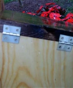 The Birdhouse Chick Unique Birdhouses Traditional Nest Box