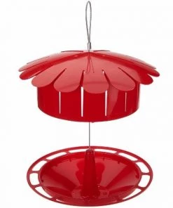 The Birdhouse Chick Humm-Bug Protein Hummingbird Feeder Hummingbird Feeders