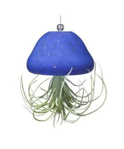 Kinsman Garden Company Jellyfish Air Plant Hangers Set/3 7 Kinsman Garden Company Jellyfish Air Plant Hangers Set/3