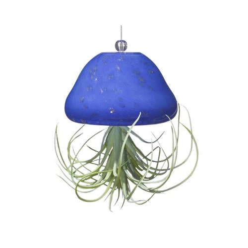 Kinsman Garden Company Jellyfish Air Plant Hangers Set/3 4 Kinsman Garden Company Jellyfish Air Plant Hangers Set/3