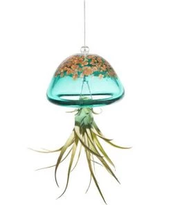 Kinsman Garden Company Jellyfish Air Plant Hangers Set/3 9 Kinsman Garden Company Jellyfish Air Plant Hangers Set/3