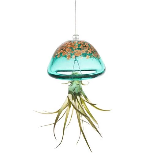 Kinsman Garden Company Jellyfish Air Plant Hangers Set/3 6 Kinsman Garden Company Jellyfish Air Plant Hangers Set/3