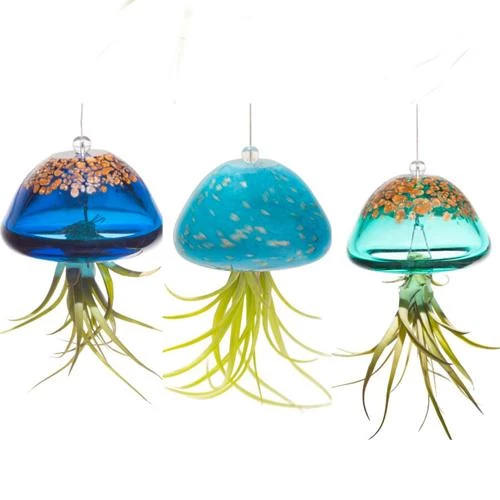 Kinsman Garden Company Jellyfish Air Plant Hangers Set/3 3 Kinsman Garden Company Jellyfish Air Plant Hangers Set/3
