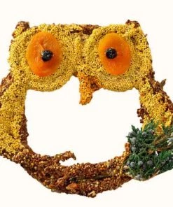 Mr. Bird Big Owl Bird Seed Treat-Grapevine Form
