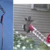 The Birdhouse Chick Hummingbird Feeders Charmer Hand-Held Hummingbird Feeder Set