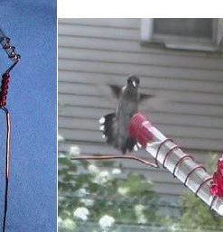 The Birdhouse Chick Hummingbird Feeders Charmer Hand-Held Hummingbird Feeder Set