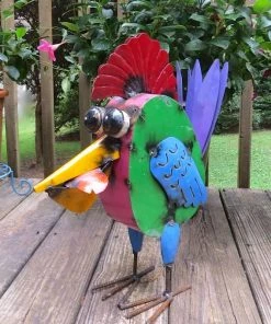 The Birdhouse Chick Kingfisher With Catch