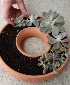 The Birdhouse Chick Living Wreath Planter