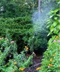 Birds Choice Leaf Mister For Butterflies, Hummingbirds & More