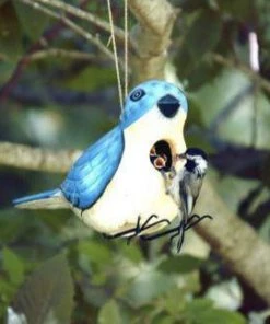Bobbo Unique Birdhouses Bluebird Wooden Birdhouse