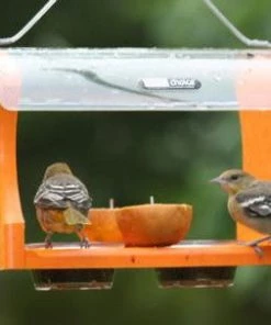 Birds Choice Recycled Birdhouses Recycled Fruit & Jelly Oriole Feeder