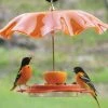 Birds Choice Acrylic Weather Guard-4 Colors 2 Birds Choice Acrylic Weather Guard-4 Colors