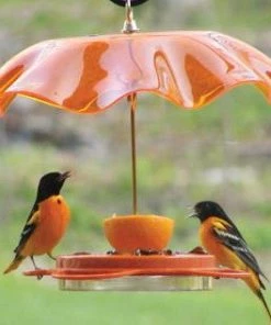Birds Choice Acrylic Weather Guard-4 Colors