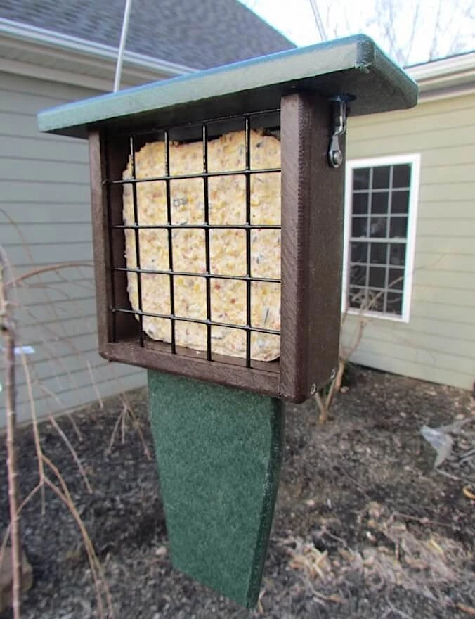 Nature Products USA Recycled Birdhouses Recycled Tail Prop Suet Feeder 4 Nature Products USA Recycled Birdhouses Recycled Tail Prop Suet Feeder
