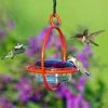 Couronne Red Orb With Perch Hummingbird Feeder