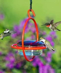 Couronne Red Orb With Perch Hummingbird Feeder