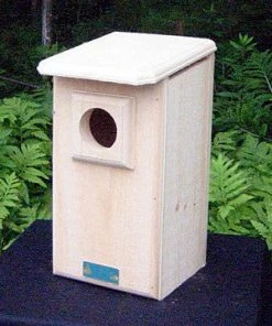 Coveside Saw-whet And Screech Owl House Owl Houses