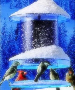 Songbird Essentials Songbird All-Weather Feeder 4 Or 6 Qt. Unique Bird Feeders