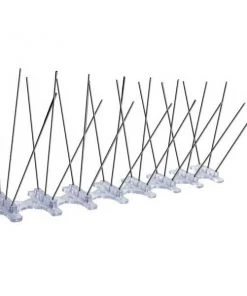Bird B Gone, Inc. Pest Deterrents Bird-B-Gone Stainless Steel Bird Spikes