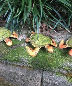 The Birdhouse Chick Mojo Garden Turtles Set/3