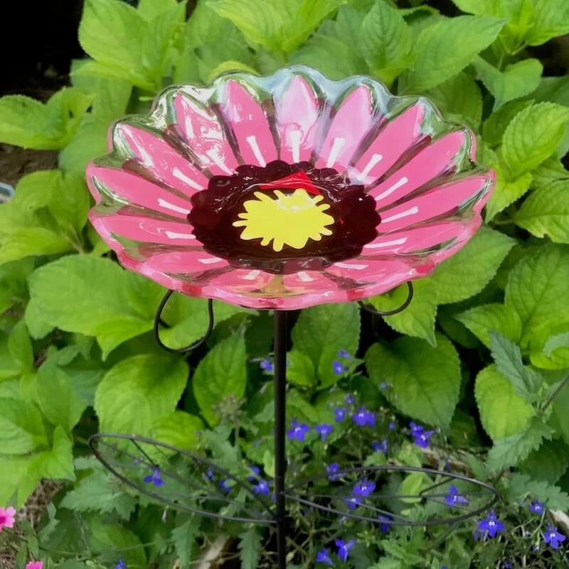 The Birdhouse Chick Staked Butterfly Feeder Or Bath Butterflies 3 The Birdhouse Chick Staked Butterfly Feeder Or Bath Butterflies