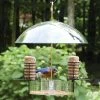 Birds Choice Super Dome Bird Feeder 1 Birds Choice Super Dome Bird Feeder