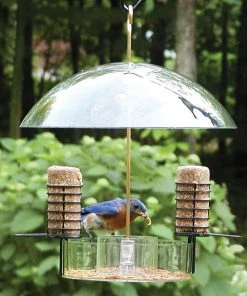 Birds Choice Super Dome Bird Feeder