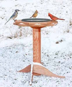 Songbird Essentials Heated Bird Baths & Heaters Replacement Pan For Heated Bird Bath