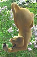 The Birdhouse Chick Cool Kat Stoneware Bird Feeder Unique Bird Feeders