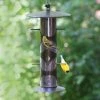 Perky Pet Upside-Down Finch Feeder 1 Perky Pet Upside-Down Finch Feeder