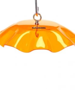 Birds Choice Acrylic Weather Guard-4 Colors 9 Birds Choice Acrylic Weather Guard-4 Colors