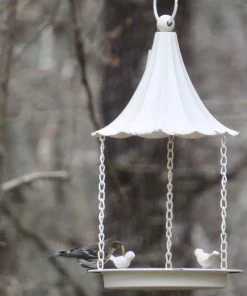 The Birdhouse Chick Unique Bird Feeders Weathered Fly-Thru Feeder