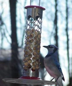 Pine Bush Home & Garden Stainless Steel Whole Peanut Feeder Peanut Feeders