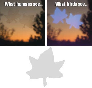 Shock Logistics Window Alert Decals- Prevent Bird Strikes 6 Shock Logistics Window Alert Decals- Prevent Bird Strikes